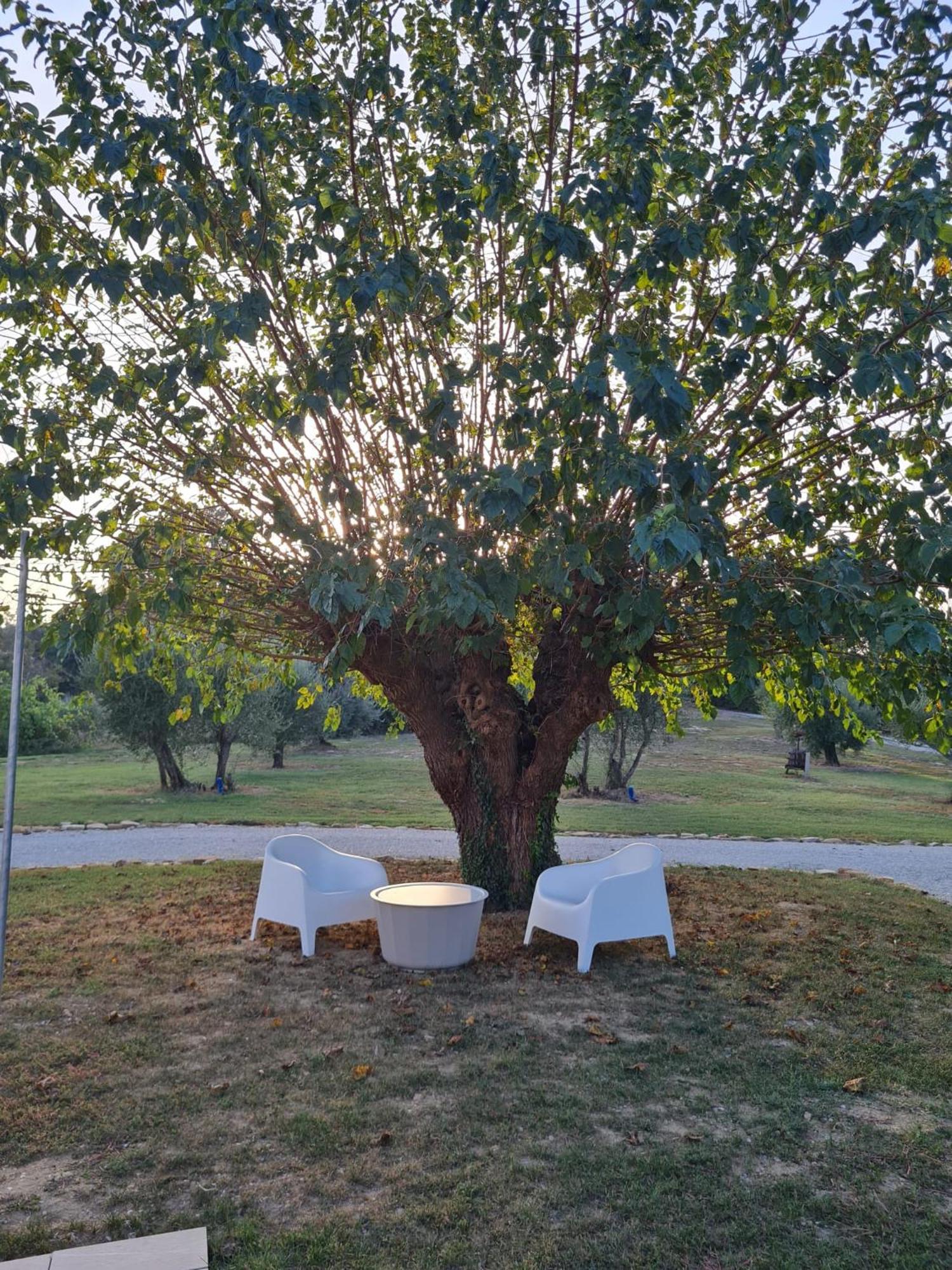 Villa Orto Della Lepre Montemaggiore al Metauro Exterior foto